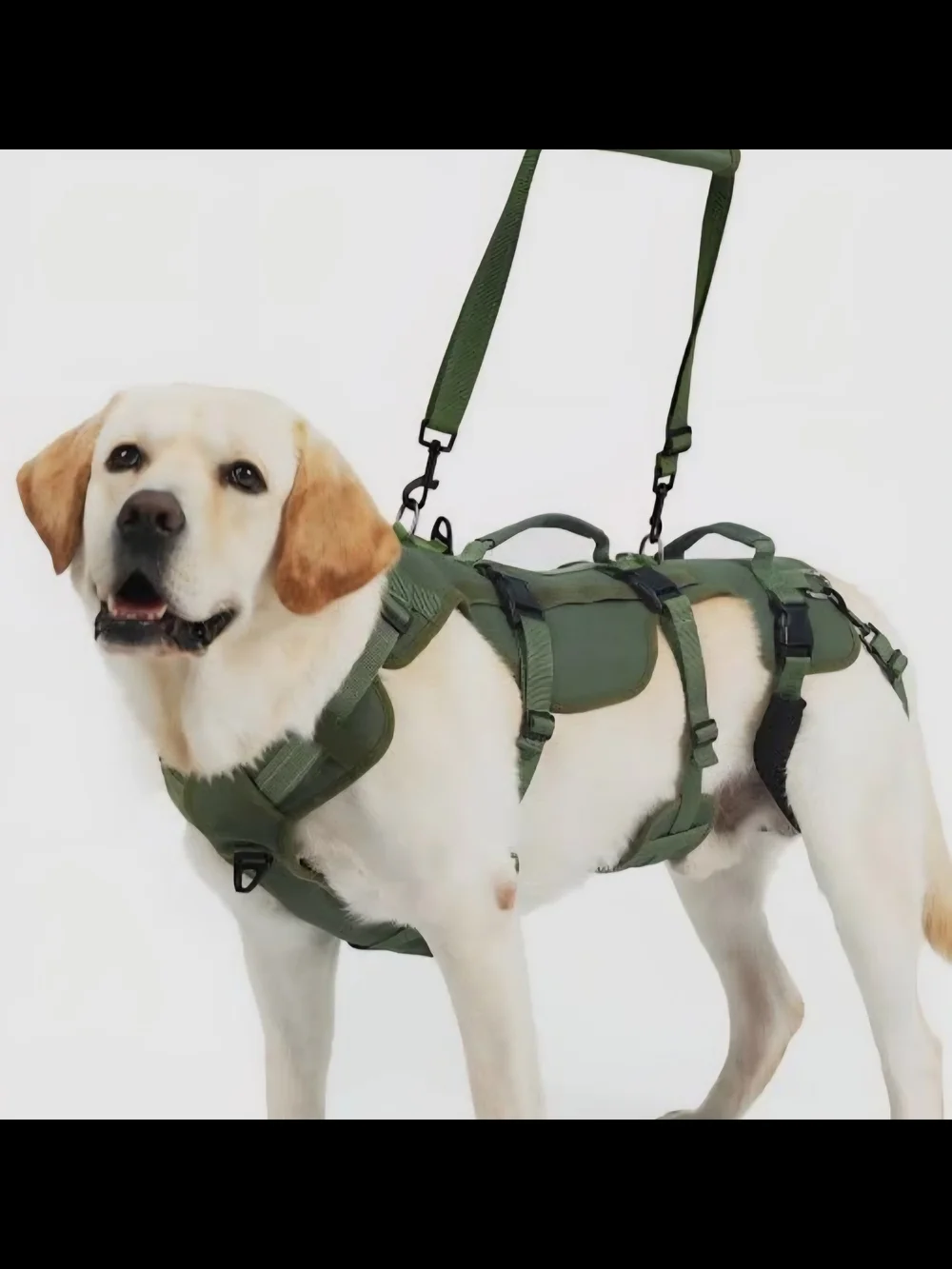 Adjustable Olive Green Dog Support Harness